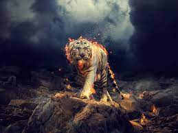 Desktop Wallpaper Angry Raging White Tiger Hd Image Picture Backgrounds 00b155 Tiger Tiger Wallpaper White Tiger