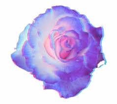 Ftestickers Fte Flower Pastel Pastels Flowers Pastel Purple Flower Png Is Found On Pngtube Purple Flowers Vintage Flower Backgrounds Flower Typography