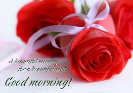 Good morning flowers to my love. Good Morning My Love Rose Greetings1 Com