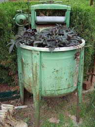 Old Wringer Washer With Sweet Potato Vine Planted In It Old Washing Machine Vintage Washing Machine Vintage Washing Machine Planter