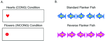Maybe you would like to learn more about one of these? Hearts And Flowers And Flanker Fish Tasks A An Example Of A Download Scientific Diagram