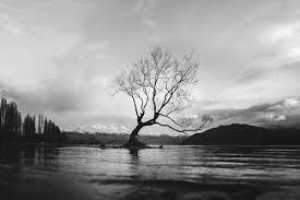 3447 likes · 1 talking about this. Black And White Photography Top 10 Tips For Black And White Pictures