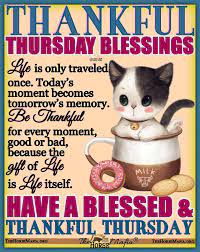 The Horse Mafia - Thankful Thursday Blessings | Facebook
