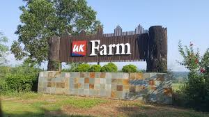 55,942 likes · 26 talking about this · 35,293 were here. Bpdgtravels Building Memories Together Jb Fun Day Trip To Uk Farm Agro Resort Kluang