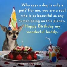 A wish for lots of birthday fun to last until the day is done. Super Cute Happy Birthday Wishes For Dog With Pictures