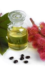 Beneficiile uleiului de ricin asupra pielii și părului. Beneficiile Necunoscute Ale Uleiului De Ricin Te ScapÄƒ De Negi