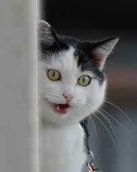 Ten unknown facts about BMW