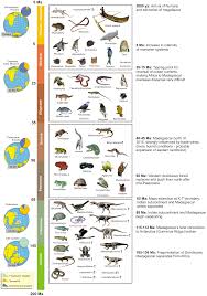 Fauna Of Madagascar Wikipedia