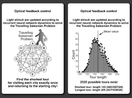 Maybe you would like to learn more about one of these? Amoeba Based Computer Solves Traveling Salesman Puzzle The New Stack