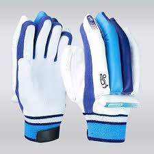Pin By Aaravdgr8 On Cricket Things Batting Gloves Gloves Hand Gloves
