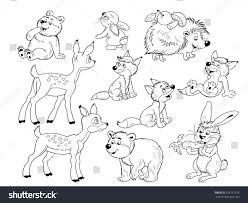 Kids of all ages will love coloring their favorite animal Baby Woodland Animal Coloring Pages Coloring And Drawing