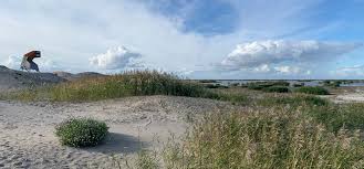 De boot marker wadden biedt alleen plaats aan voetgangers. Auf Marker Wadden Expedition Holland National Parks