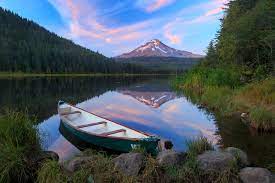 76% rather than 79% against disease. Trillium Lake Outdoor Project