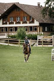 (fei.org, 25 apr 2020) in february 2013 he was kicked in the knee by a horse at a world cup event in bordeaux, france. World No One Steve Guerdat What I Really Love About The Horses Is That They Are Your Best Lesson In Life World Of Showjumping