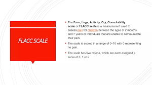 Image result for FLACC Scale