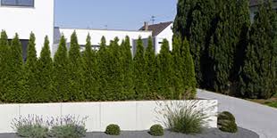 Die firma pawlowski erfüllt ihre gartenträume!🌿. Oesterle Garten Und Landschaftsbau Gartenpflege Hechingen