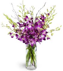 The data in this listing is believed to be accurate in our florist directory at the time of posting. You Re My Everything Greensboro Nc Florist