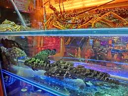 Free shipping over $75 with code! Seafood Restaurant Wikipedia