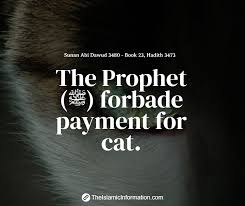 Islamic finance is about serving society. Islamic Information This Hadith Prohibits Selling Cats For Money For Those People Who Do Business By Selling Cats Such As Persian Cats Is Haram Prohibited Meanwhile Giving Cats For Adoption Is