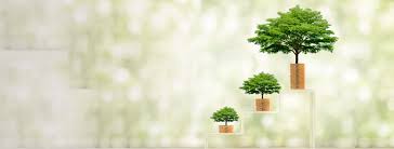 Tiền gửi, tiết kiệm trả lãi sau