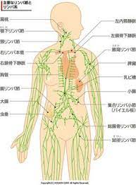 美しさや若々しさを保ち 冷え症 体調不良にも効く お腹の凝りをほぐして免疫力アップ naver まとめ body health health fitness beauty health