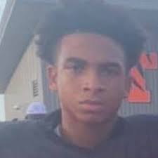 Dylan Hippler's High School Bio