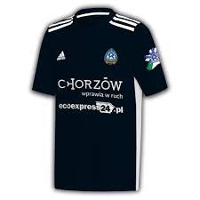 We did not find results for: Ruch Chorzow Fanclub Niebieskich Z Irlandii Trafi Na Koszulki Pilkarzy Dziennik Zachodni