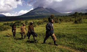 Congo Rainforest And Basin Places Wwf