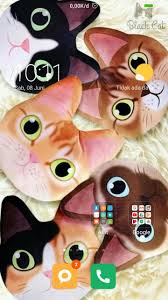 Jul 21, 2019 · halo sobat, dipostingan ini kami akan memberikan informasi populer mengenai tema acara halal bihalal. Beautiful And Cute Cat Wallpapers For Android Apk Download