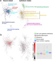Trigger the biological mechanisms that transform your . Gene Network Analysis Identifies Rumen Epithelial Cell Proliferation Differentiation And Metabolic Pathways Perturbed By Diet And Correlated With Methane Production Scientific Reports