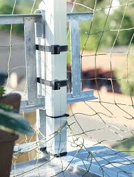 Unser Katzenbalkon Das Katzennetz Katze Balkon Katzennetz Katzen