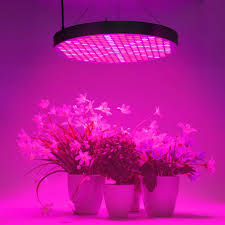 I Find Myself Looking At Plant Lights Lately But I Don T Know If It S Because I D Love To Be Able Best Led Grow Lights Led Grow Lights Grow Lights For