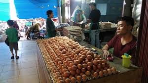 Harga telur ayam ras hari ini terbaru dan harga telur lain yang terbaru hari ini. Harga Kebutuhan Pokok Di Padang Hari Ini Rabu 14 April 2021 Kacang Tanah Dan Telur Ayam Naik Tribun Padang