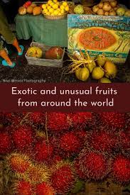 35 exotic fruits you should try at least once. Exotic And Unusual Fruits Around The World