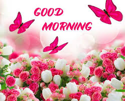 The day is set to bring you good and lovely packages of positive surprises. Good Morning With Flowers Good Morning Flowers Good Morning Images Flowers Morning Flowers