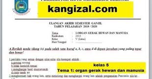 Soal tema 1 kelas 5 revisi 2018 jadi tidak perlu khawatir jika soal ini nantinya hampir mirip dengan. Soal Uas Pat Ukk Kelas 5 Tema 1 Organ Gerak Hewan Dan Manusia Terbaru 2019 2020 Kang Izal Blog