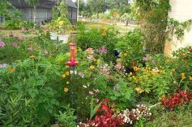 Florida Butterfly Gardening Site Flowerbed Club Butterfly Garden Design Butterfly Garden Butterfly Plants