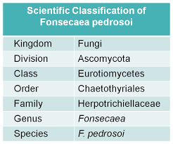 Fonsecaea pedrosoi — saltar a navegación, búsqueda ? Fonsecaea Pedrosoi Creative Biolabs