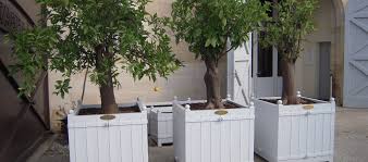 Un arbre en pot qui n'est pas taillé, c'est un arbre qui va connaître des difficultés à un moment donné. Le Jardin De Marc Specialiste De La Caisse A Oranger Jardiniere Et Bac