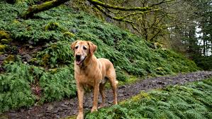 2,837 likes · 131 talking about this · 334 were here. Sudyan9oplornm