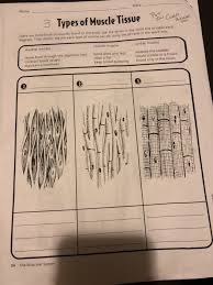 Check spelling or type a new query. Name Date 3 Types Of Muscle Tissue Con Goge D Box To Chegg Com