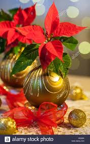 Material Weihnachtsstern Gold Weihnachtskugeln Glas Tee