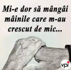 Mi E Dor De Părinți In 2020 Miss You Dad Words Life