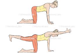 Recent or chronic injury to the wrists or knees. Balancing Table Dandayamna Bharmanasana Yoga Poses Guide By Workoutlabs