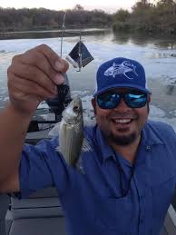 Where to find early morning fish