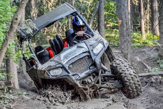 Side By Side Atv Images – Browse 5,679 Stock Photos, Vectors, and Video |  Adobe Stock
