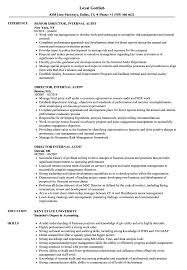 No matter what position you are applying for, you must never slack if you check out the sample above you will find the remus has successfully created an impressive skills section. Director Internal Audit Resume Samples Velvet Jobs