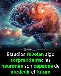 Tu cerebro esconde tantos secretos que no todos han sido revelados, sin embargo, en este 2025 hubo varios que la ciencia por fin pudo mostrar. Acá te los dejamos 