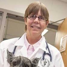 Scientific Advisory Council