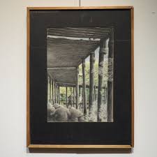 Bildergebnis für Roel D'Haese